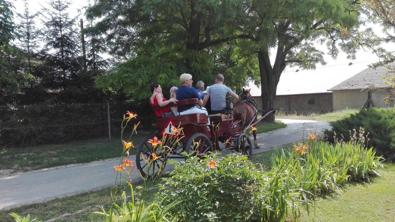 Swieze Poddasze U Przybyszow Andruszkowice Exteriör bild