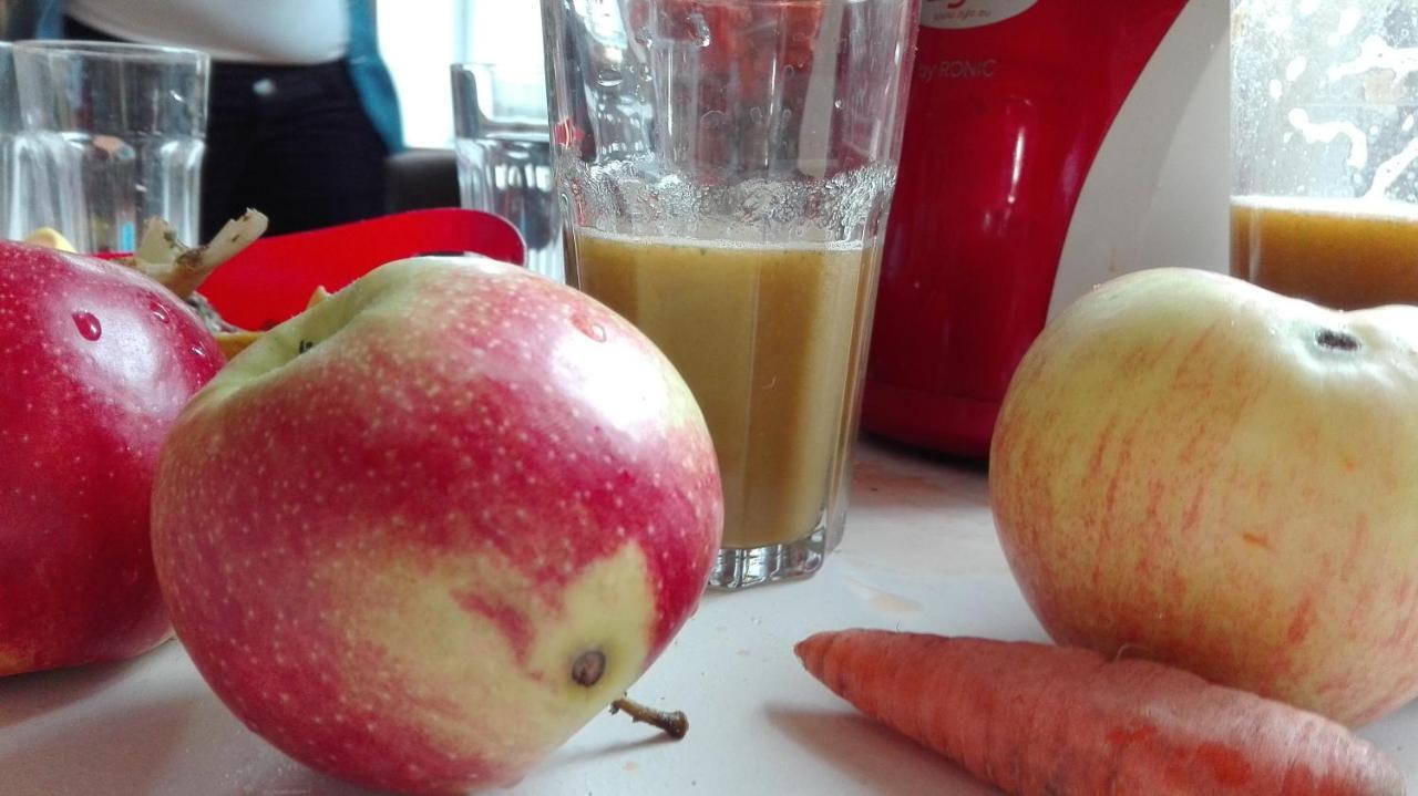 Swieze Poddasze U Przybyszow Andruszkowice Exteriör bild