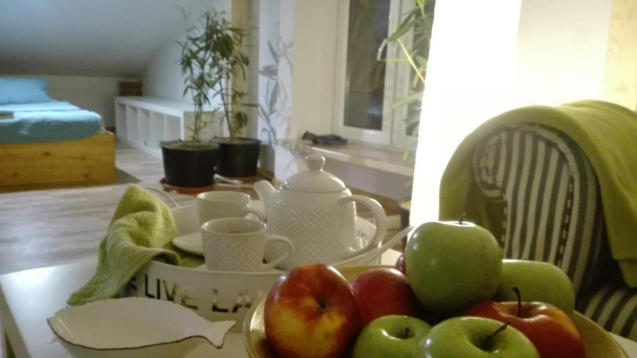 Swieze Poddasze U Przybyszow Andruszkowice Exteriör bild